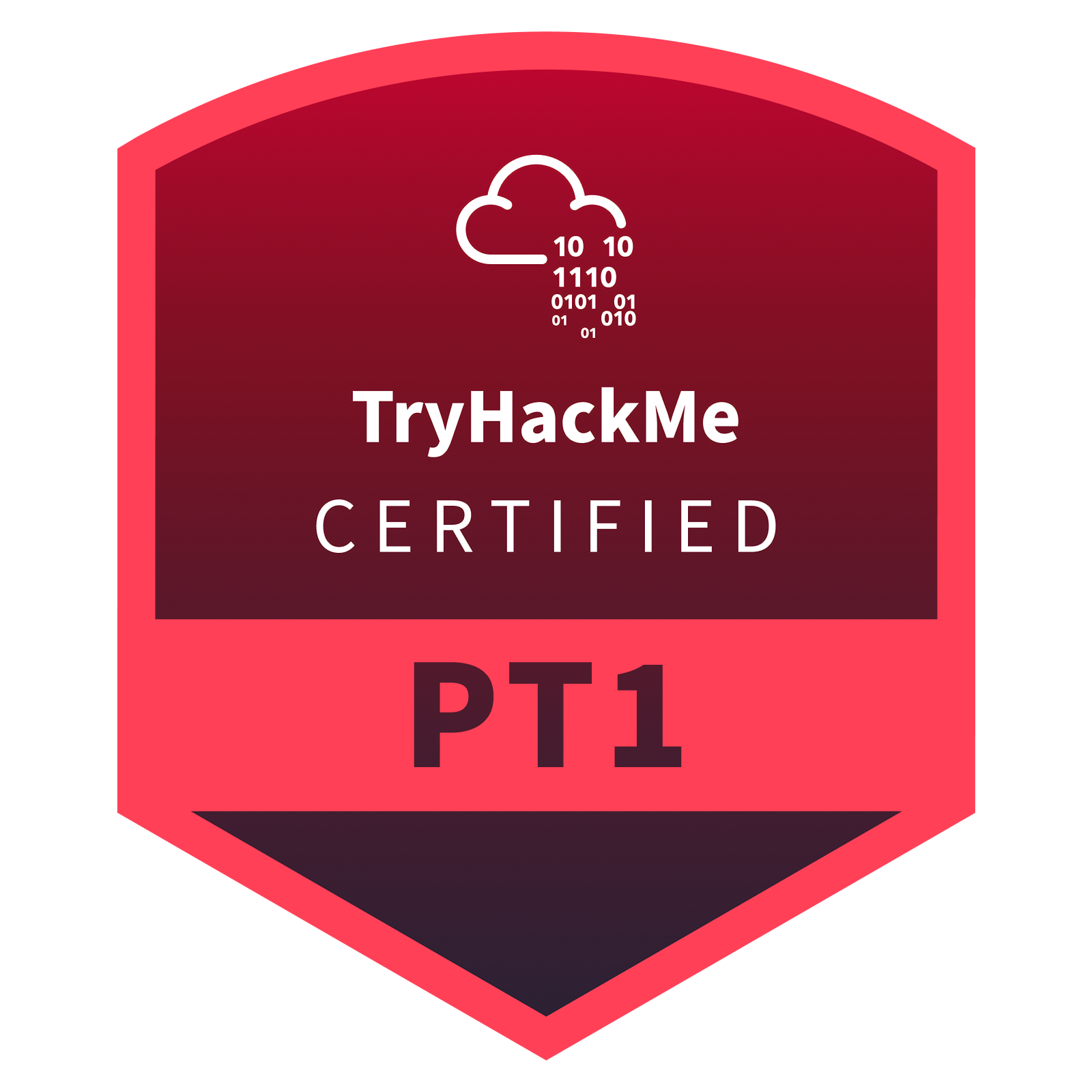 PT1 — Jr Penetration Tester